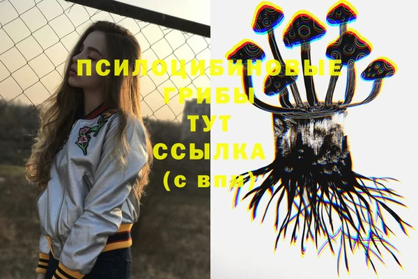 тгк Абаза