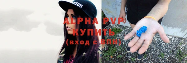 тгк Абаза
