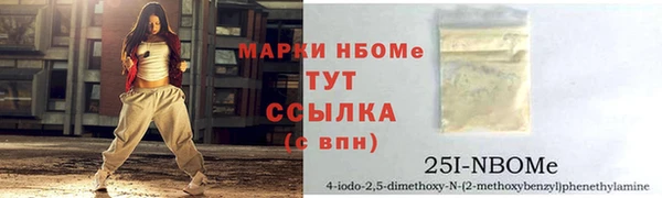 тгк Абаза