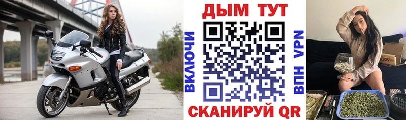 Конопля план  как найти   Нефтегорск 